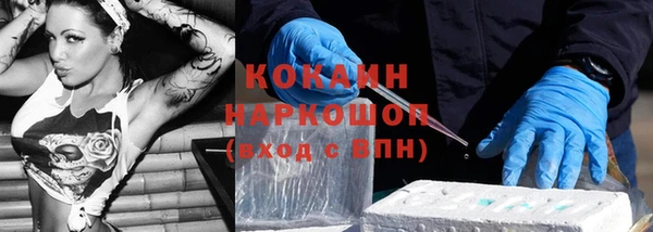 гашик Аркадак