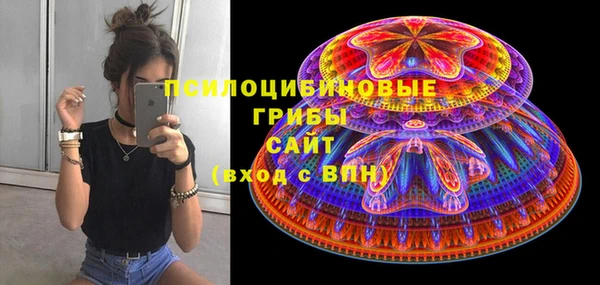 гашик Аркадак