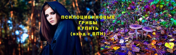 прущие крисы Медногорск