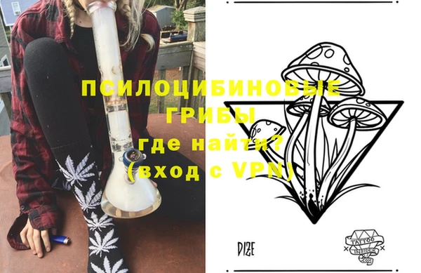 дмт Армянск