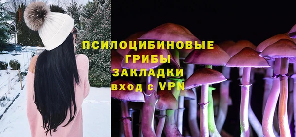 дмт Армянск