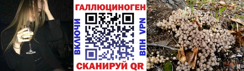 Галлюциногенные грибы Magic Shrooms  Отрадный 